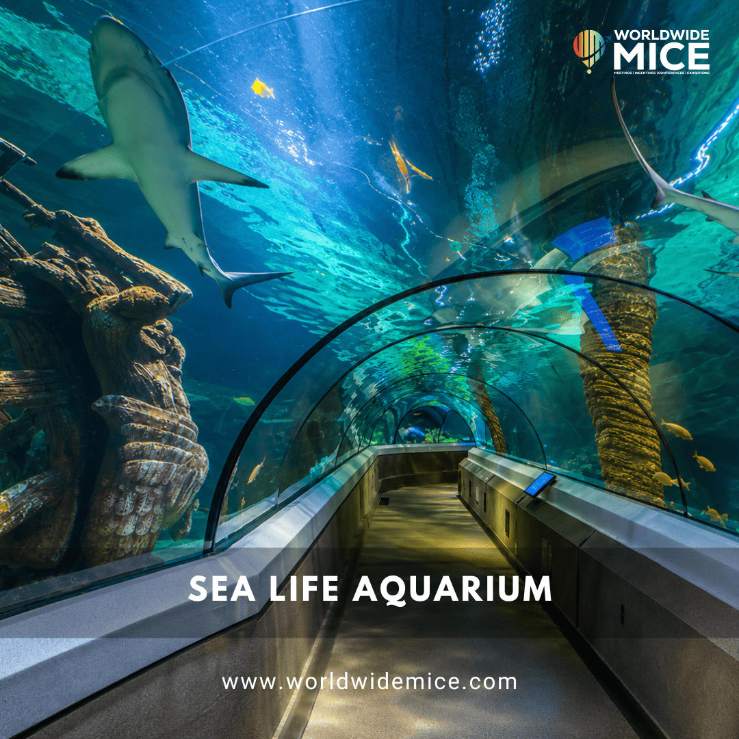 SEA LIFE Sunshine Coast